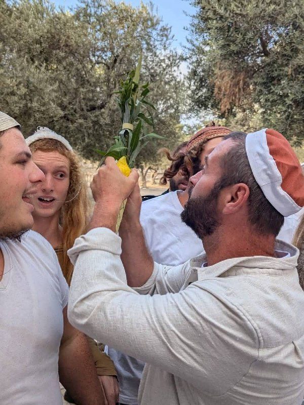 مستوطن يحمل قربانا نباتيا بين أشجار الزيتون خلال اقتحام المسجد الأقصى