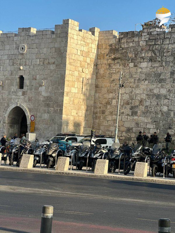 دراجات وعناصر لقوات الاحتلال أمام باب الساهرة