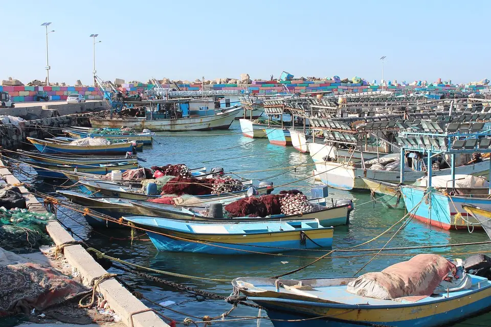 Fishing boats moored side by side in Gaza port.